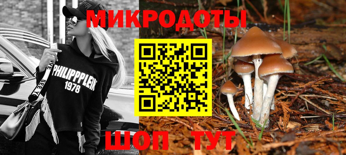 Галлюциногенные грибы Psilocybe  даркнет сайт  Галлюциногенные грибы MAGIC MUSHROOMS  Верхняя Пышма  Вход с VPN 