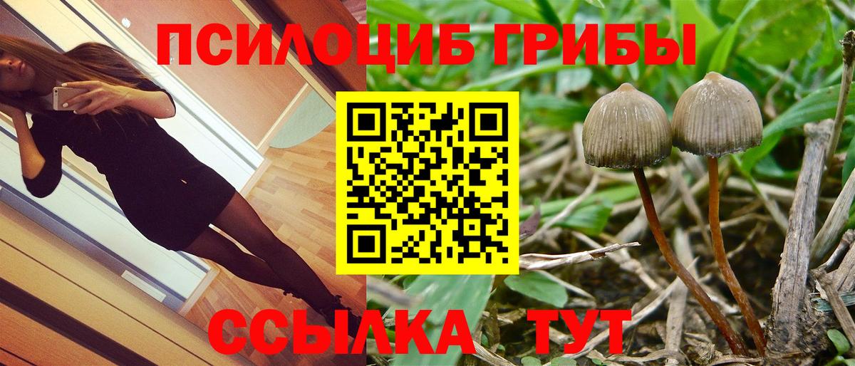 Галлюциногенные грибы прущие грибы Верхняя Пышма